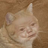 Avatar di MawahPenguin