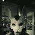 Avatar for Missgothgirl