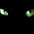 Avatar for SilverShadow32