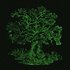 Avatar for What Was Said In The Woods