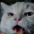 Avatar for Magdaczi