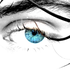 Avatar for Willikins