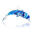 Avatar for Dolphin1273