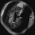 Avatar di spookoku