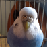Avatar für Andre_ll