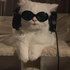 Avatar for LuckyMystic99