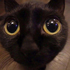 Avatar for Mailu2305