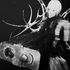 Avatar for xrzzuu