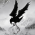 Avatar de Discimex
