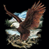 Avatar for qpek1989