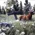 Avatar di BONES & Deergod