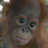 Avatar di itsdaniloez