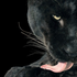 Avatar for Kasmiczieskaja