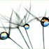 Avatar for CienshkaSprawa