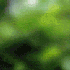 Avatar for lserwinski