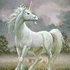 Avatar di nesosau