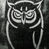 Avatar for can-ayaz