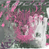 Avatar for mkayth0t