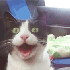 Avatar for DestroyMyself
