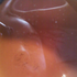 Avatar di victrolahead