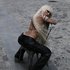 Avatar di Isabella Lovestory
