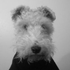 Avatar for princimi