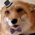 Avatar for ChalacoTaco