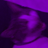 Avatar for Zackh3