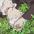 Avatar for heysadtristesse