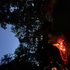 Avatar for Deaner0726