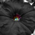 Avatar for vz77