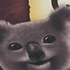 Avatar for SirBingusKnight