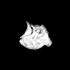 opticaldiminish için avatar