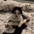 Avatar for mishla101
