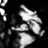 Avatar for 3melody3