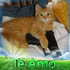 Avatar di inutilidadesfm