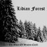 Аватар для Lidian Forest
