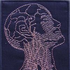 Avatar for gilgotek