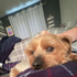 Avatar for Doggooooo