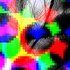 Avatar for dragi235