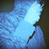 Avatar for augusto_merli