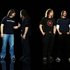 Probot için avatar