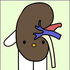 Avatar di kidneyjuice