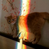 Avatar for Doodler-