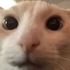 Avatar for Cliff_chicken