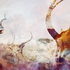 Avatar di crywolf2411