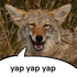 Avatar for lonniepon