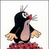 vielinka için avatar