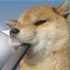 Avatar for doritosbandito