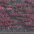 Avatar for DamonSnow22